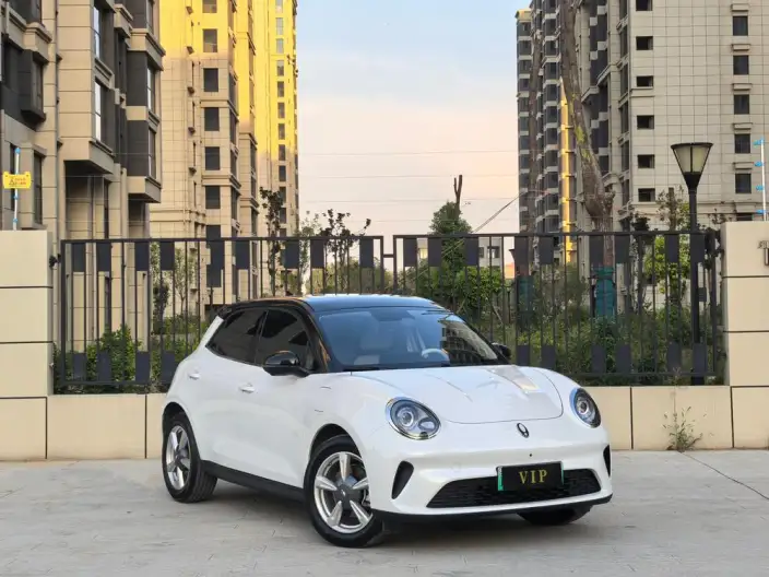 ORA Good Cat 2025 Model 430km Luxury Model – фото 3