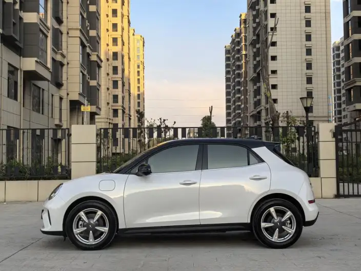 ORA Good Cat 2025 Model 430km Luxury Model – фото 4