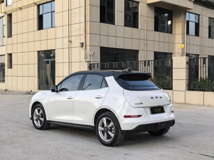ORA Good Cat 2025 Model 430km Luxury Model – фото 5