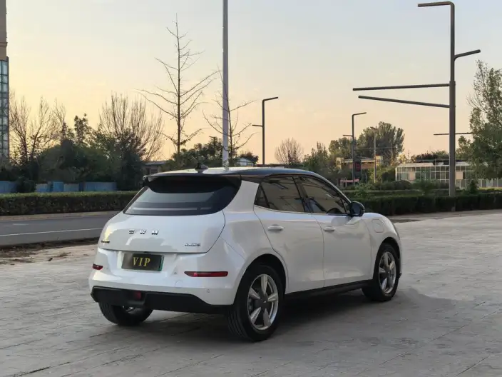 ORA Good Cat 2025 Model 430km Luxury Model – фото 7