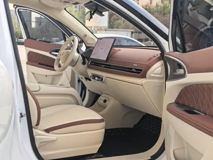 ORA Good Cat 2025 Model 430km Luxury Model – фото 8