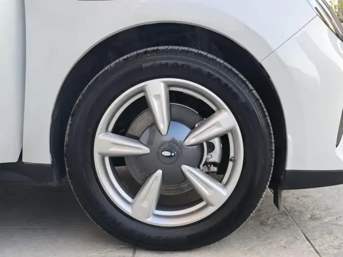 ORA Good Cat 2025 Model 430km Luxury Model – фото 10