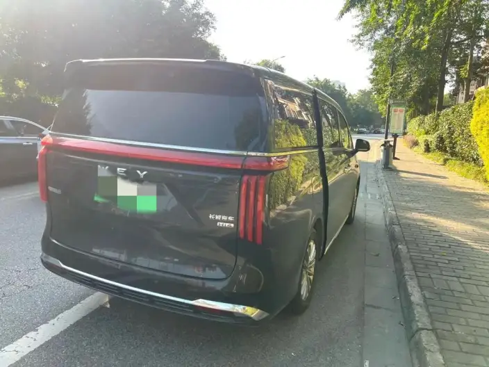 Wey Gaoshan P HEV 2025 Model 4WD Wey Gaoshan 8
