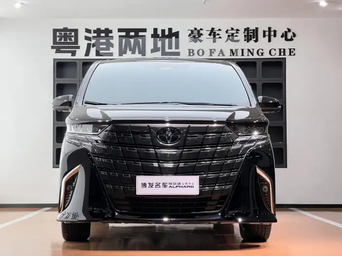Elfa 2023 Model 2.5L Intelligent Hybrid 4WD Premium – фото 2