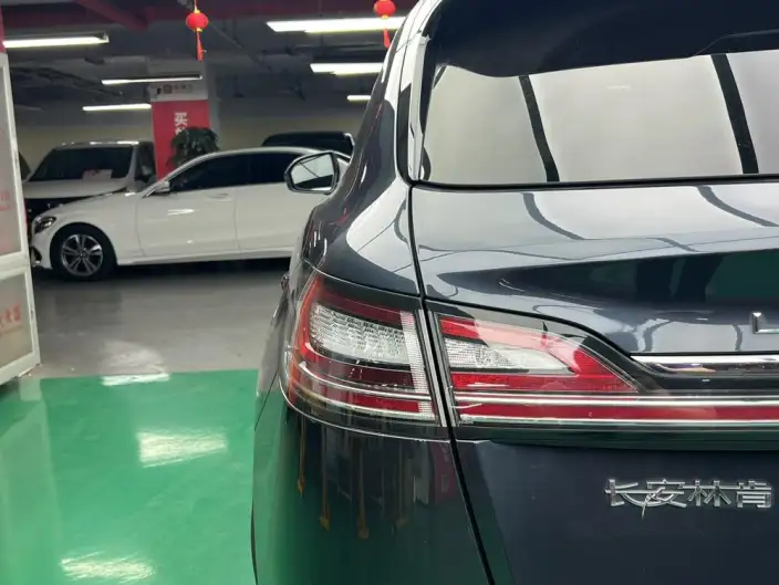 Nautilus 2021 Model 2.7T 4WD Zunyao Edition – фото 9