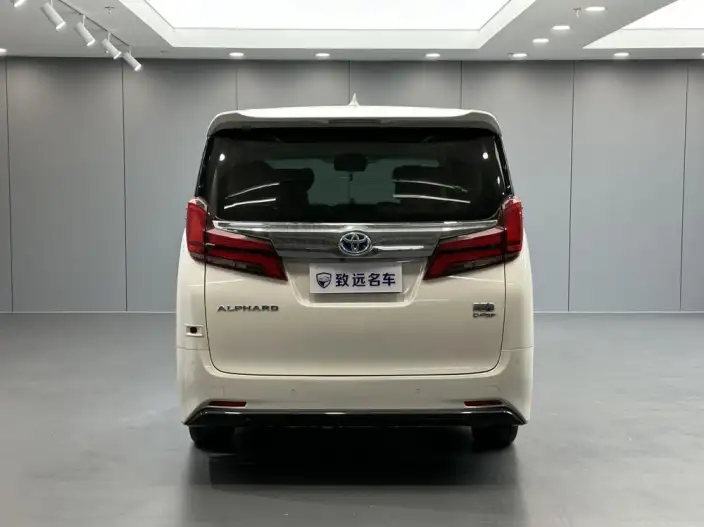 Elfa 2021 Model Hybrid 2.5L Deluxe Edition – фото 5