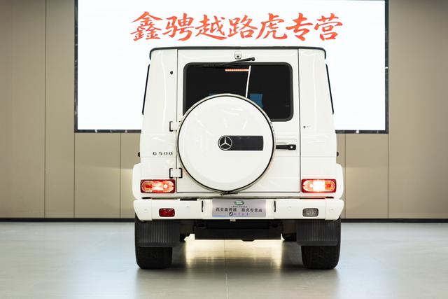 Mercedes-Benz G-Class 2017 G 500 Superior Edition – фото 4