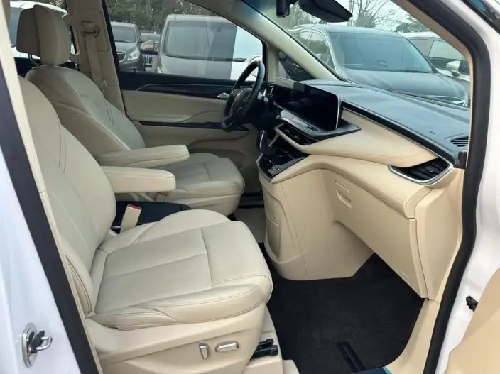 Buick GL8 2022 Model ES Luzun 653T Exclusive Model – фото 8