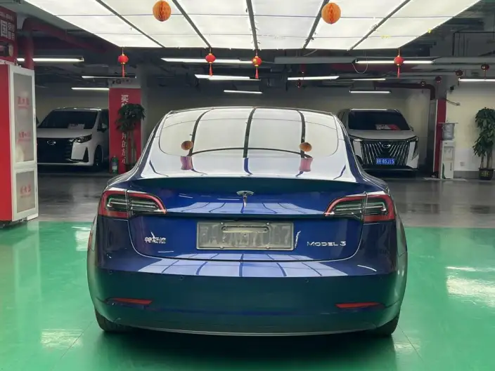 Model 3 2021 Model Standard Battery Life Rear Drive L Class Edition 3D6 – фото 6