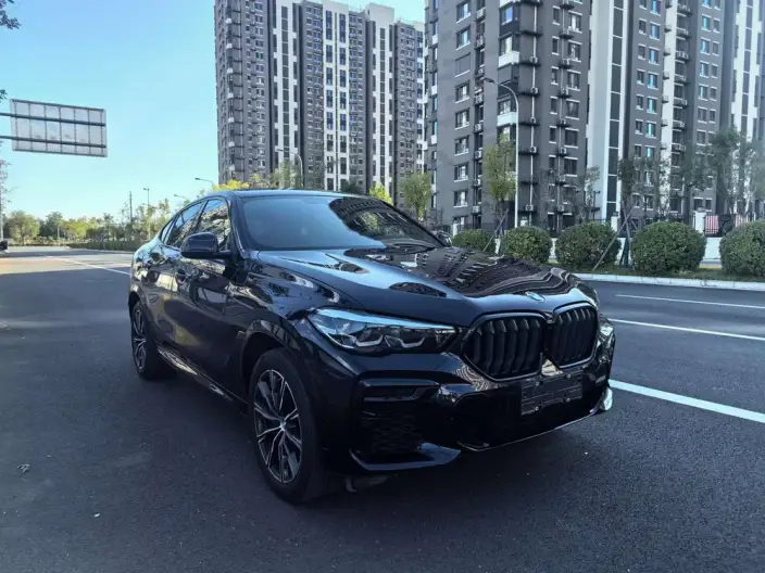BMW X6 2023 Model Facelift xDrive30i M Sports Set – фото 3