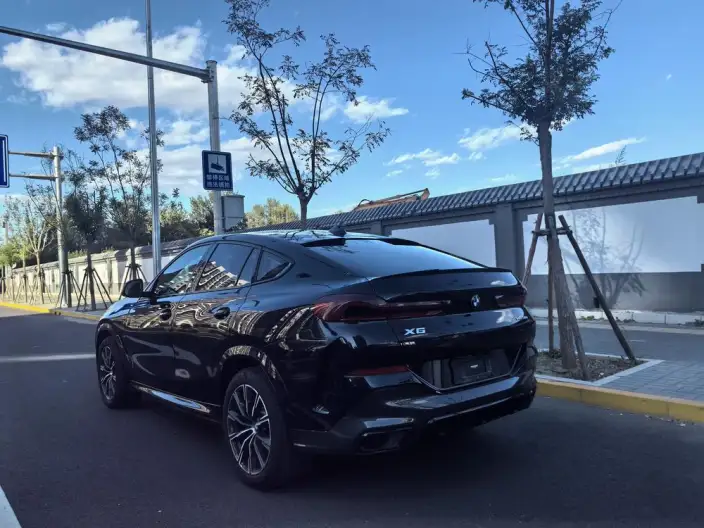 BMW X6 2023 Model Facelift xDrive30i M Sports Set – фото 4