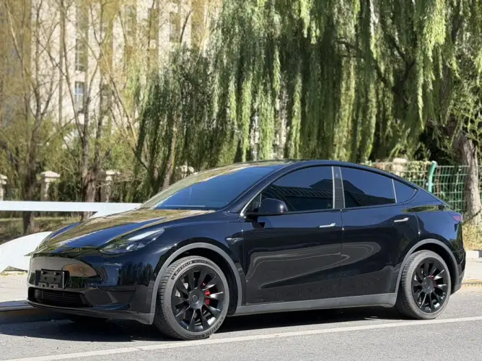 Model Y 2022 Model Facelift Rear-wheel drive version