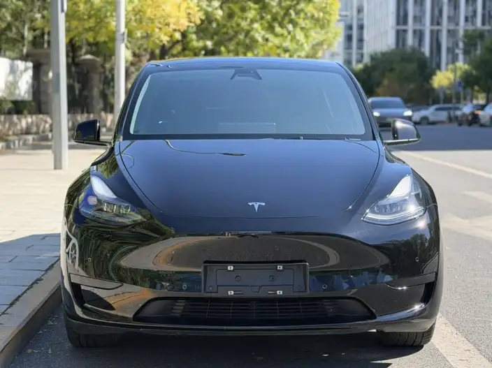Model Y 2022 Model Facelift Rear-wheel drive version