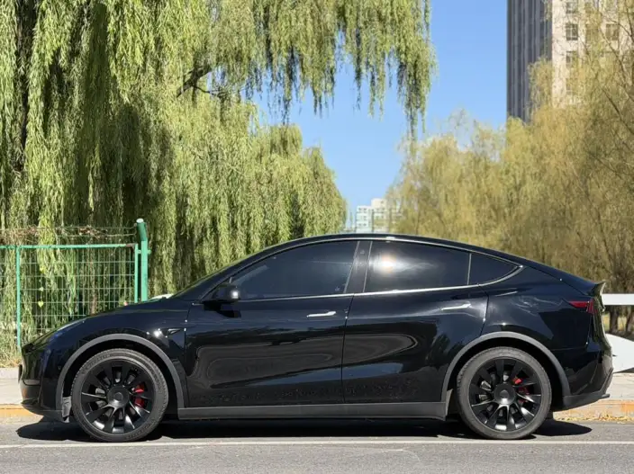 Model Y 2022 Model Facelift Rear-wheel drive version