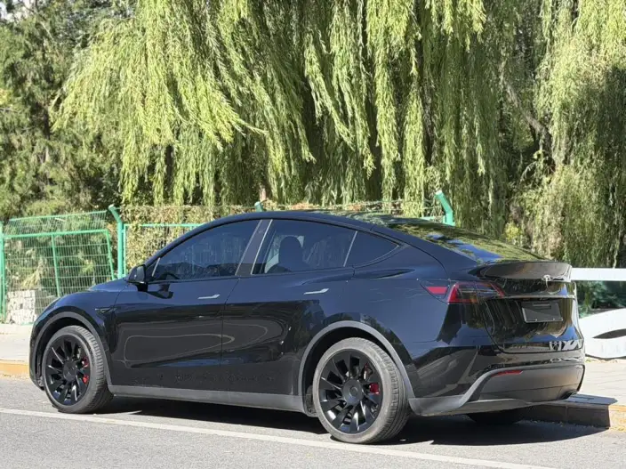 Model Y 2022 Model Facelift Rear-wheel drive version – фото 5