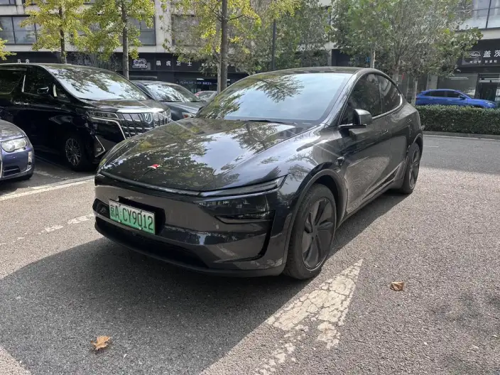 Model Y 2025 Model Rear-wheel drive version