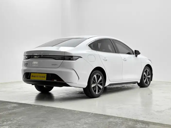 BYD Destroyer 05 2022 Model DM-i 55KM Noble Model – фото 7