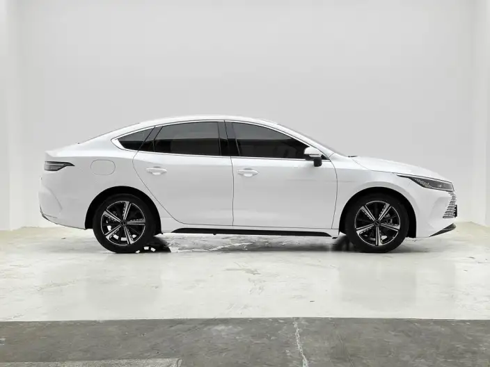 BYD Destroyer 05 2022 Model DM-i 55KM Noble Model – фото 8