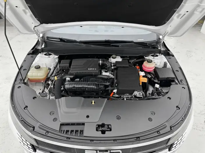 BYD Destroyer 05 2022 Model DM-i 55KM Noble Model – фото 10