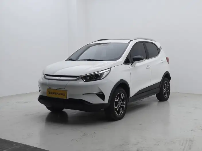 Yuan Pro 2023 Model 401KM Noble Model