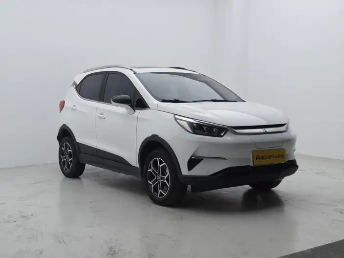 Yuan Pro 2023 Model 401KM Noble Model