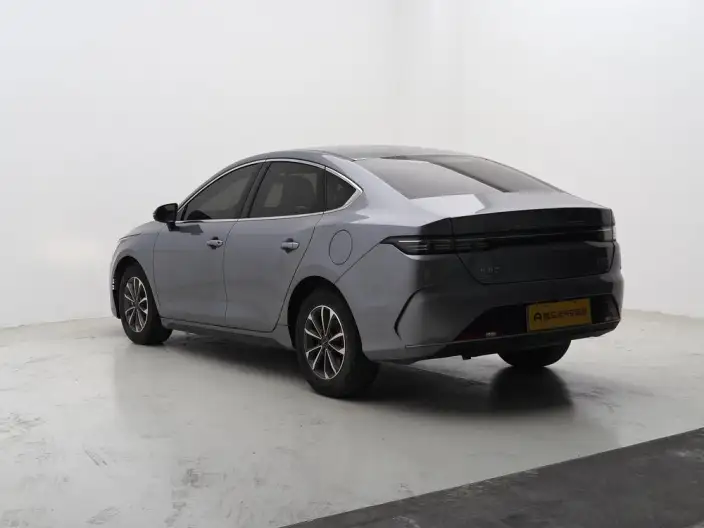 BYD Destroyer 05 2024 Model Honor Edition DM-i 55KM Luxury Model – фото 5