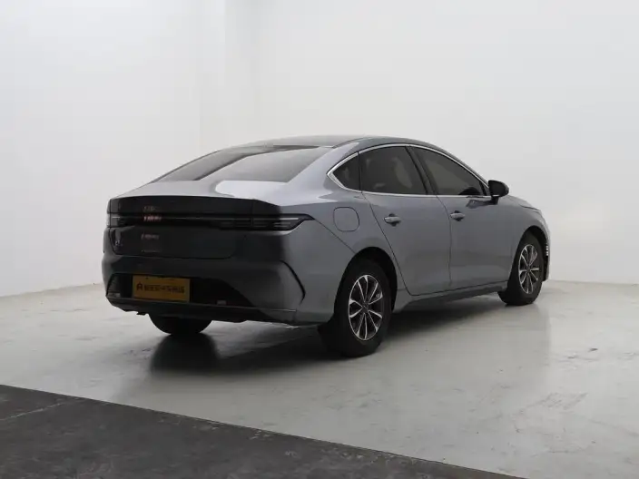 BYD Destroyer 05 2024 Model Honor Edition DM-i 55KM Luxury Model – фото 7