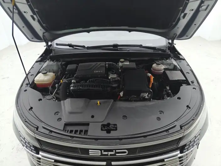 BYD Destroyer 05 2024 Model Honor Edition DM-i 55KM Luxury Model – фото 10