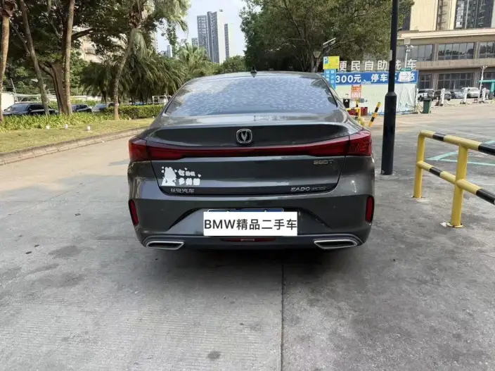 Changan Eado 2022 Model PLUS Blue whale NE 1.4T GDI DCT Noble Model