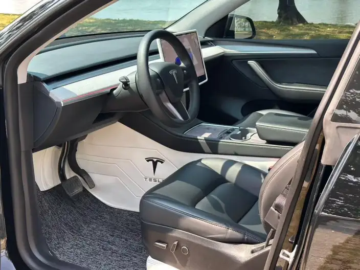Model Y 2023 Model Rear-wheel drive version – фото 9