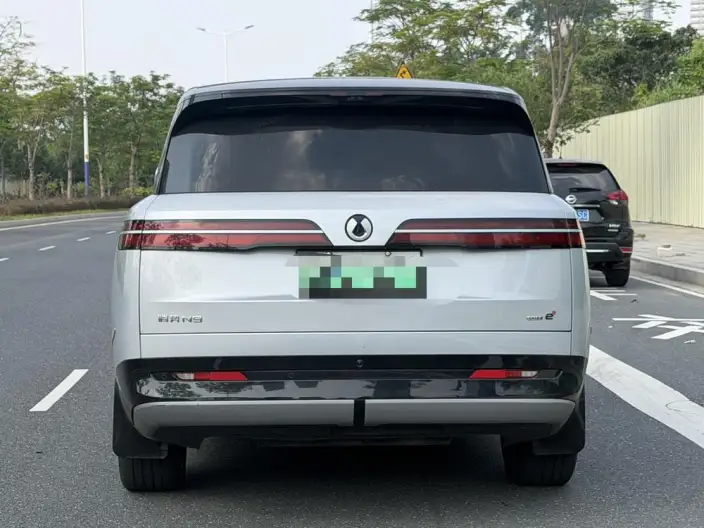 DENZA N9 DM 2025 Model Flagship Model – фото 6