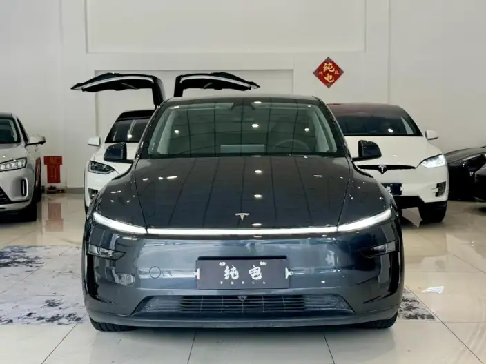 Model Y 2025 Model Rear-wheel drive version