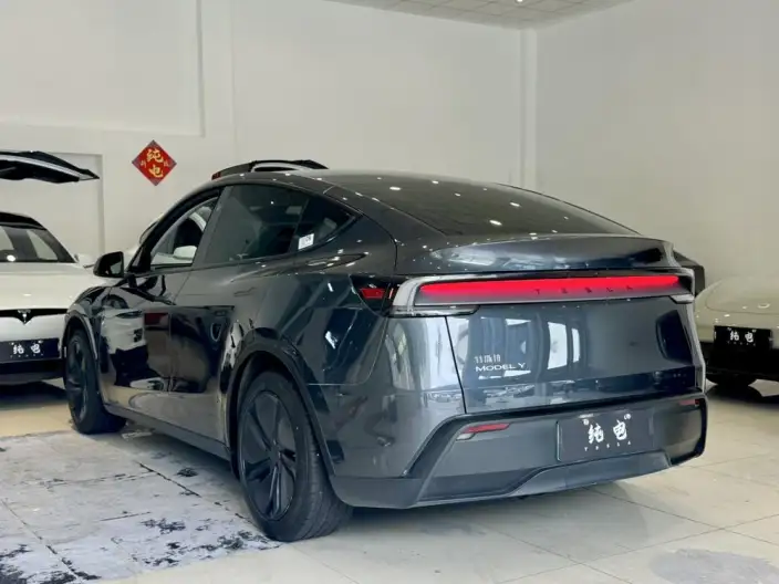 Model Y 2025 Model Rear-wheel drive version – фото 5