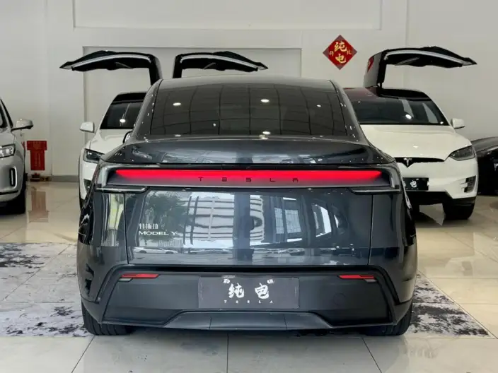 Model Y 2025 Model Rear-wheel drive version – фото 6