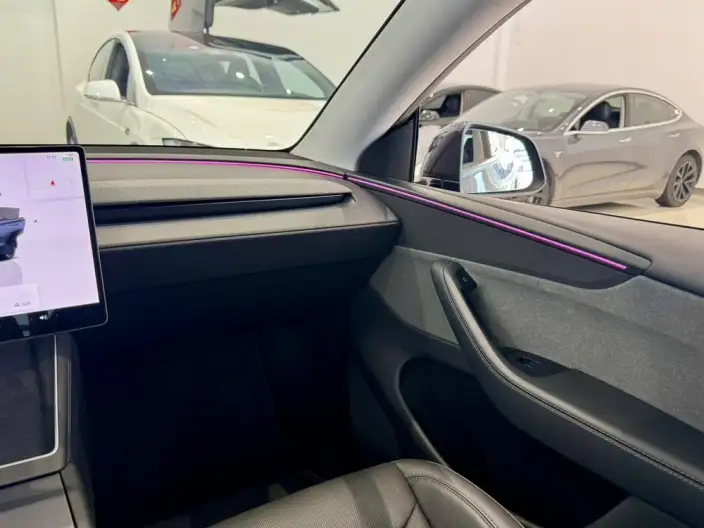 Model Y 2025 Model Rear-wheel drive version – фото 9