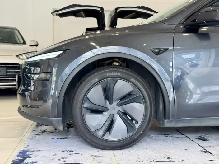 Model Y 2025 Model Rear-wheel drive version – фото 10