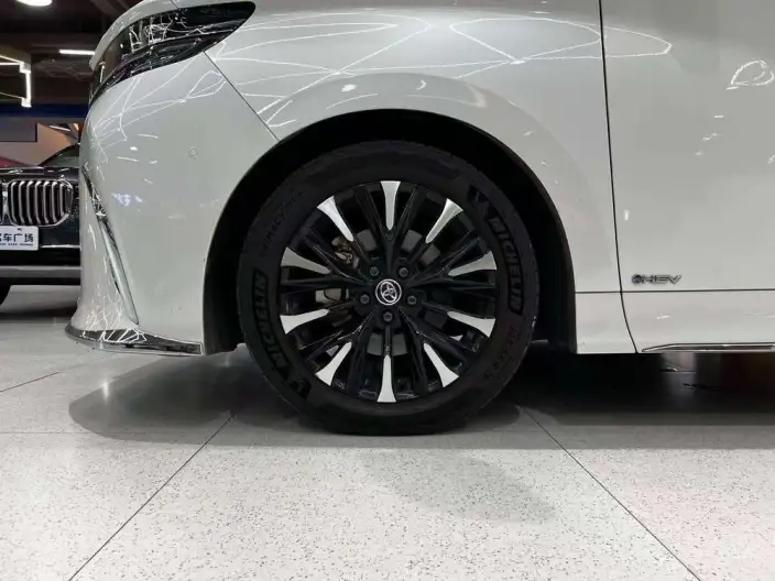 Elfa 2023 Model 2.5L Intelligent Hybrid 4WD Premium – фото 9