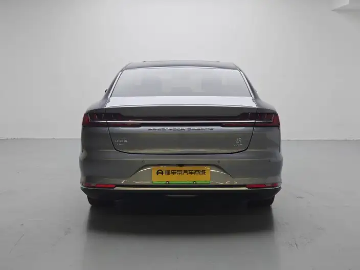 BYD Han DM 2020 Model DM 4WD performance version Noble Model – фото 6