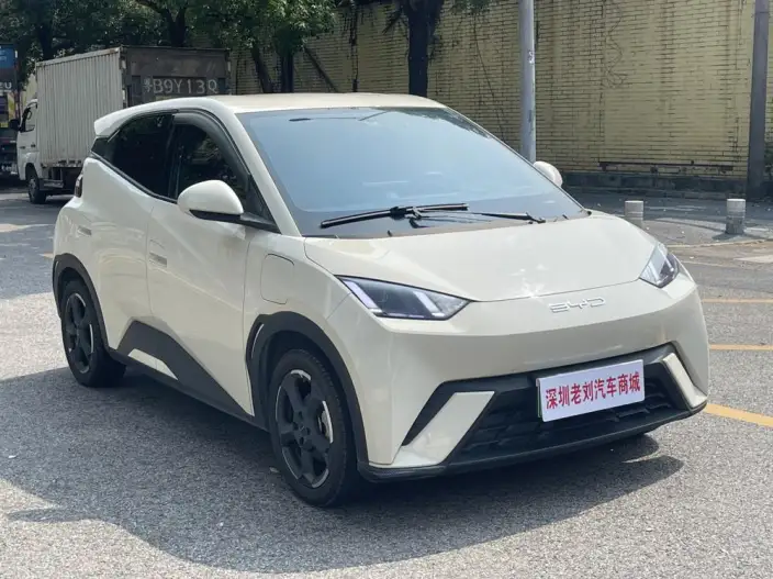 BYD Seagull 2023 Model Feixiang Edition
