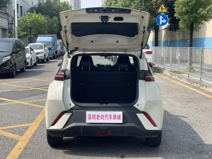 BYD Seagull 2023 Model Feixiang Edition – фото 9