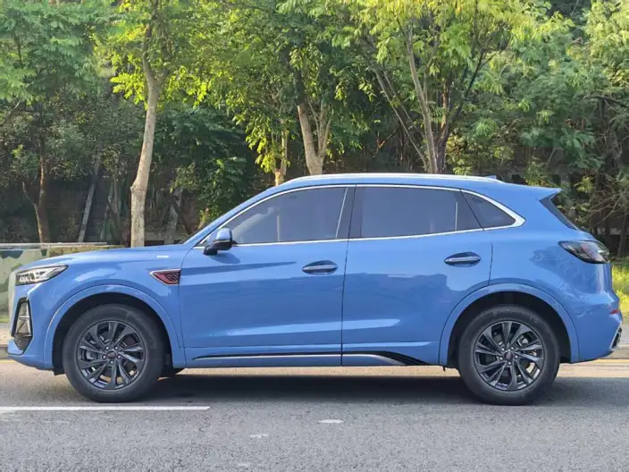 Hongqi HS5 2023 Model 2.0T Flag Xiang Pro Edition