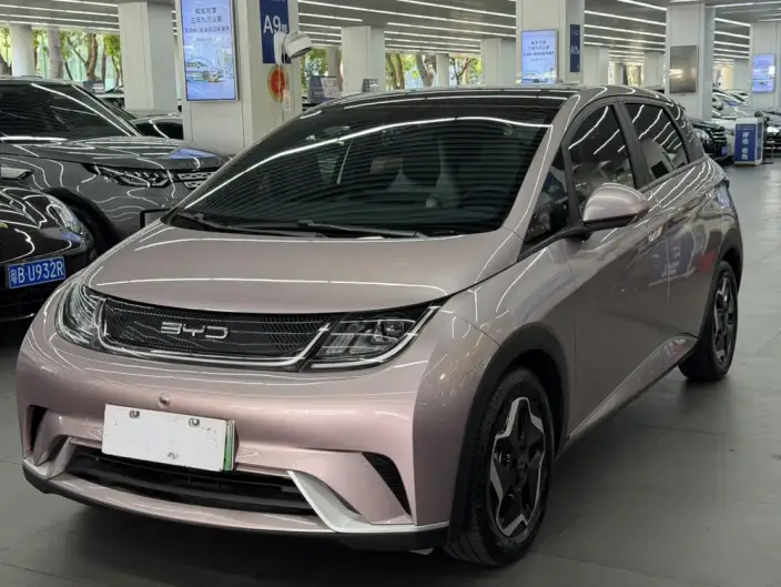 BYD Dolphin 2021 Model Fashion Edition
