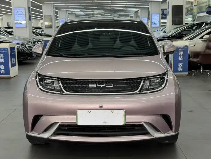 BYD Dolphin 2021 Model Fashion Edition
