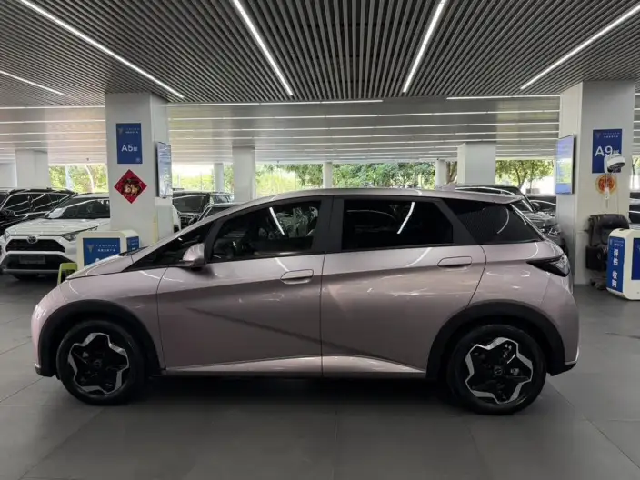 BYD Dolphin 2021 Model Fashion Edition