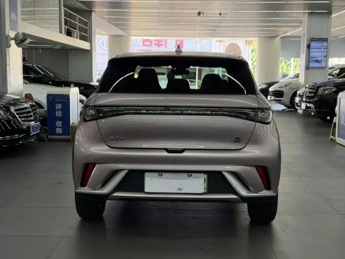 BYD Dolphin 2021 Model Fashion Edition