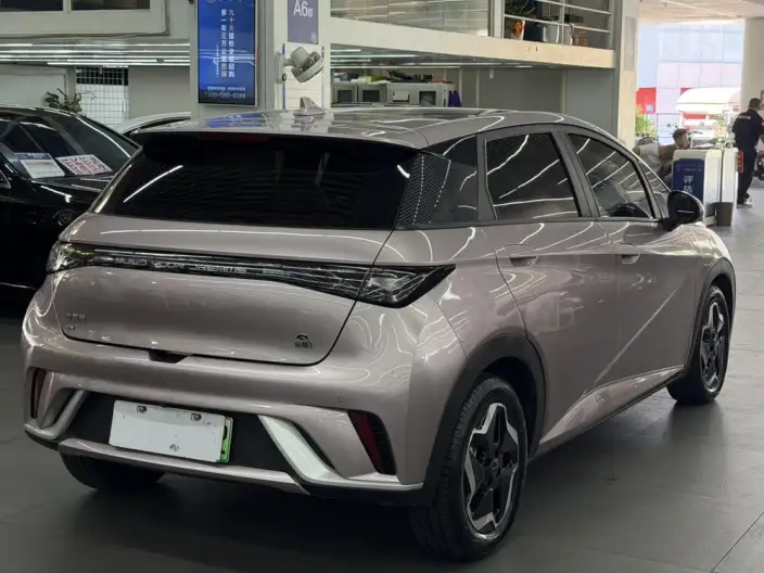 BYD Dolphin 2021 Model Fashion Edition – фото 5