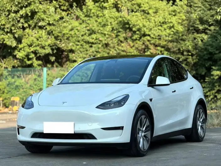 Model Y 2021 Model Standard Battery Life Rear-wheel drive version