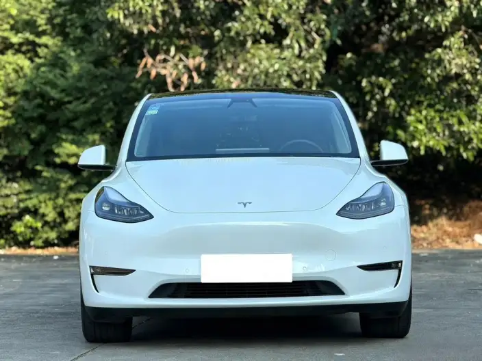 Model Y 2021 Model Standard Battery Life Rear-wheel drive version