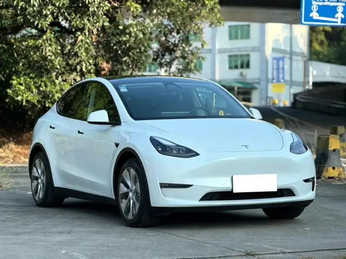 Model Y 2021 Model Standard Battery Life Rear-wheel drive version
