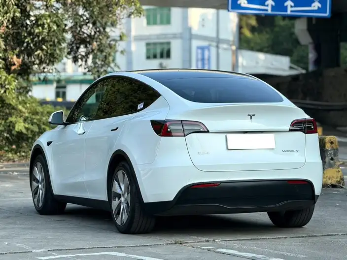 Model Y 2021 Model Standard Battery Life Rear-wheel drive version – фото 5
